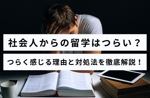 【体験談あり】社会人からの留学はつらい？つらく感じる理由と対処法を徹底解説！サムネイル画像